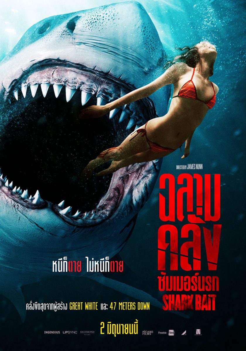 ดูหนังออนไลน์ ดูหนังใหม่ Shark Bait 2022 ฉลามคลั่งซัมเมอร์นรก