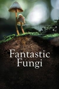 ดูหนังออนไลน์ฟรี Fantastic Fungi เห็ดมหัศจรรย์ (2019)